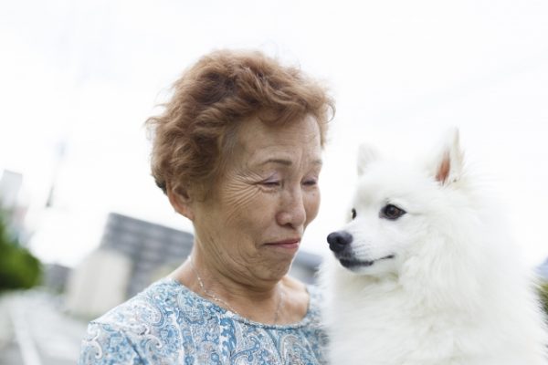 おひとり様、ペットを残して死ぬ前に考えておきたい終活
